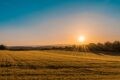 Agrivoltaico 2025: Cos'è, Come Funziona e Quali Incentivi Puoi Ottenere