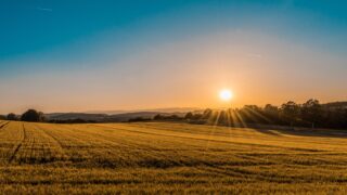 Impianto agrivoltaico con pannelli solari sopraelevati su terreno agricolo coltivato