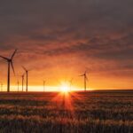 Pannelli solari e industria - strategie per ridurre la bolletta elettrica aziendale